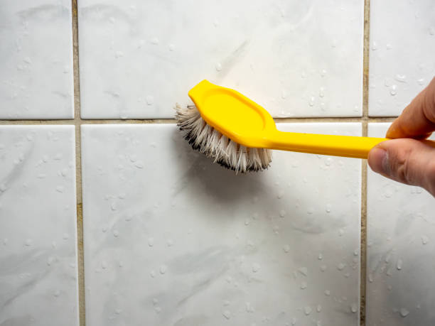 Best Residential Mold Remediation in Mccleary, WA