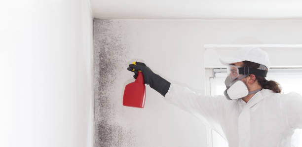 Mccleary, WA Mold Remediation Company